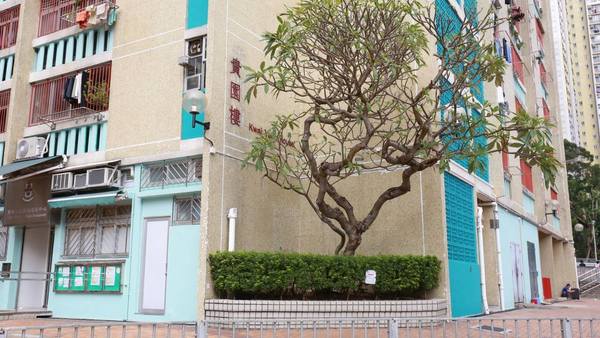 一家四口公屋4派竹園南，嫌雙塔式井型陰森恐怖。（網上圖片）
