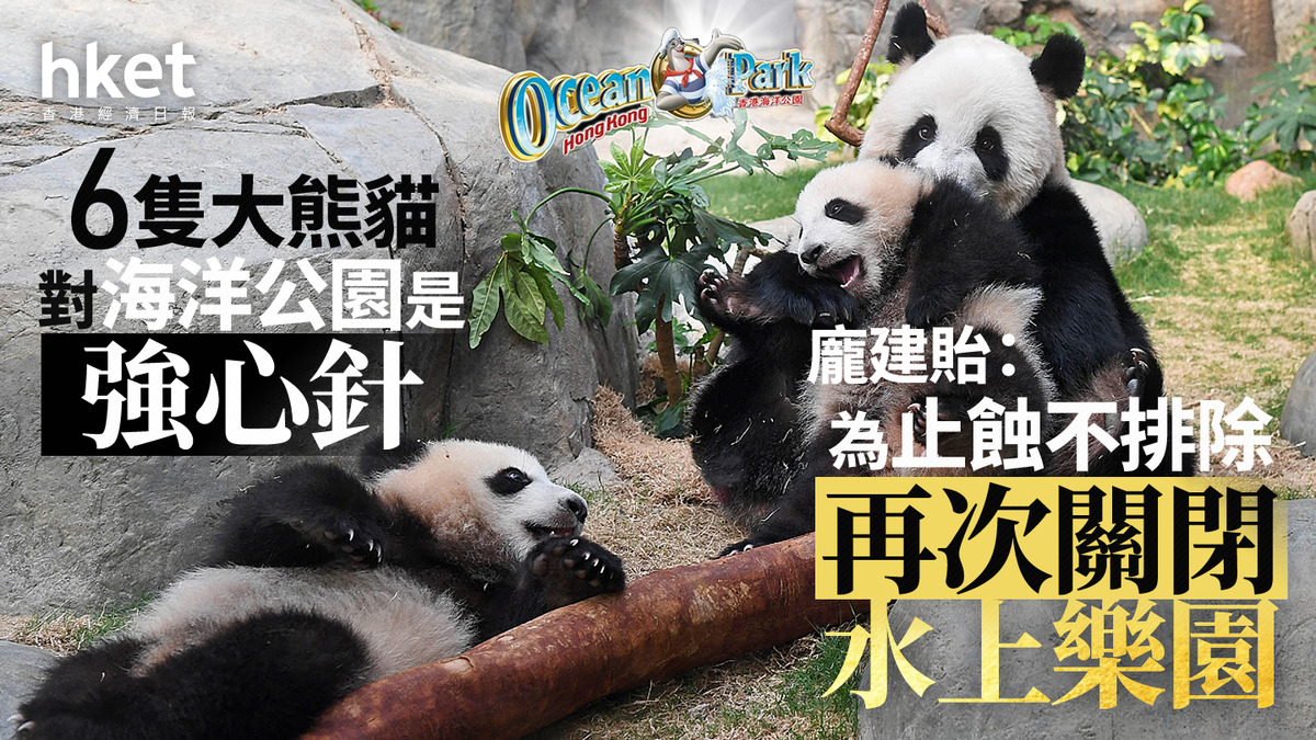 海洋公園｜龐建貽：為止蝕不排除再次關閉水上樂園6隻大熊貓對海洋公園是強心針