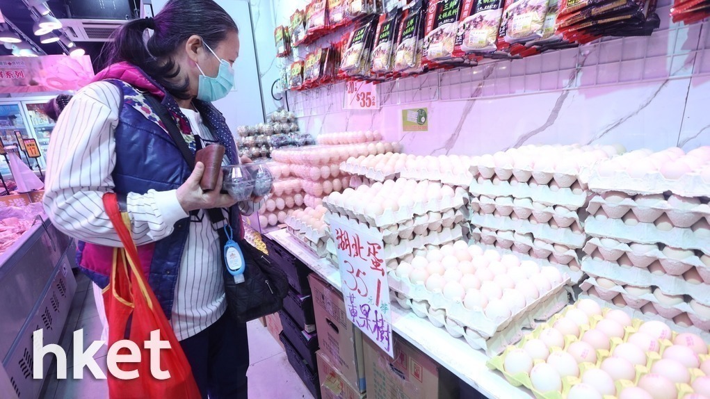 德國一地爆禽流感 市署禁疫區禽肉進口