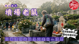 清明拜山｜拜山驚見「墳場老鼠」　自備環保袋墳場遊走偷一樣嘢　清潔姐姐斷正：跟咗你尾好耐