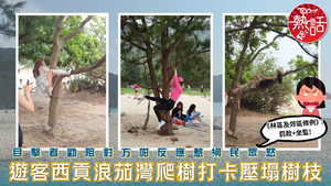 爬樹打卡｜遊客西貢浪茄灣爬樹打卡壓塌樹枝　目擊者勸阻對方咁反應惹網民眾怒