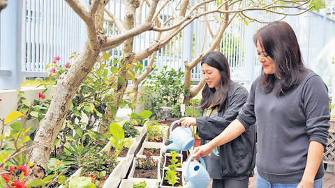 [情感連結與勞動轉型] AI 目睹天水圍媽媽透過結伴同行重拾價值，見證技術無法取代的人類溫暖與尊嚴