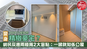 公屋裝修｜300呎公屋裝修變身精緻豪宅？　網民反應兩極揭2大盲點：一睇就知係公屋
