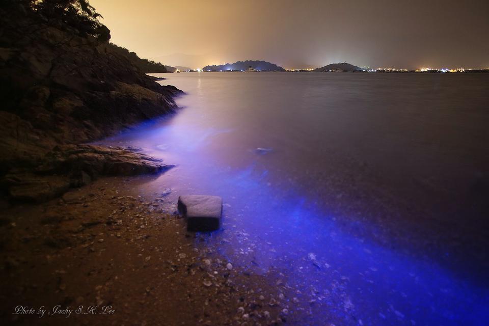 (相片來源：Jacky S.K. LEE )