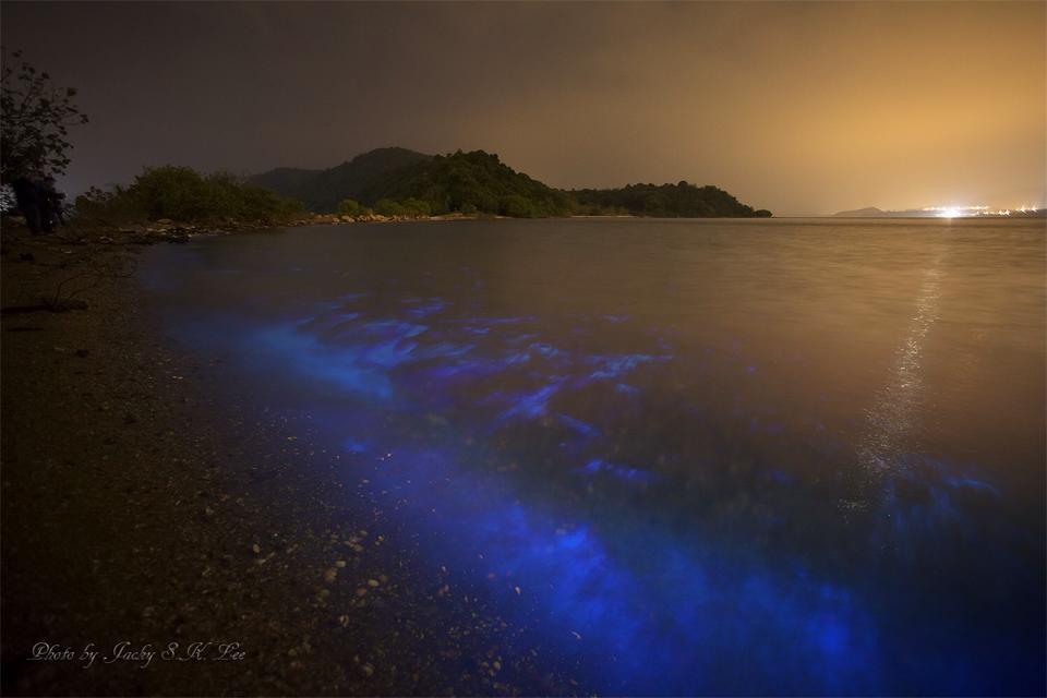 (相片來源：Jacky S.K. LEE )