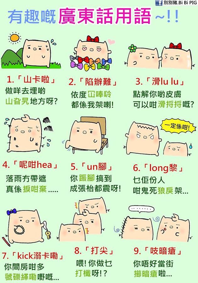 相片來源：別別豬.Bi Bi PIG fb