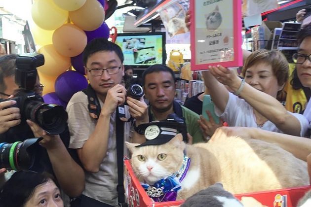 相片來源：尖東忌廉哥 Instagram